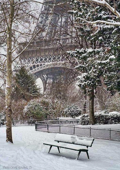 Paris in Winter pictures