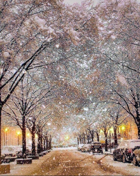 Paris in Winter Christmas evening
